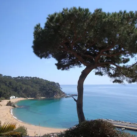 Torre * Λορέτ Ντε Μαρ